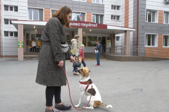 Тюменка пришла на голосование с собакой