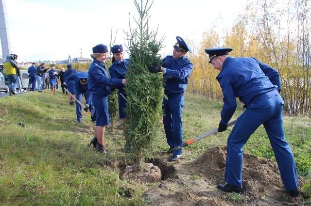 В честь 300-летия прокуратуры в Салехарде высадили деревья