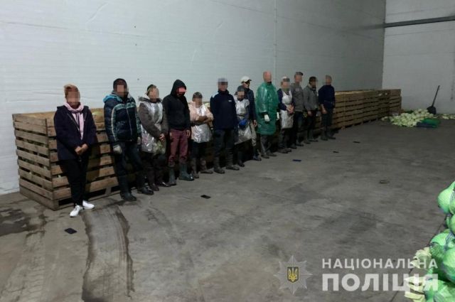 Под Днепром полиция освободила из трудового рабства 60 человек