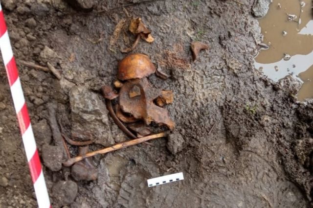 В лесном массиве Ленобласти найдены костные останки нескольких людей