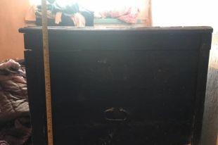 Двух детей нашли в сундуке мертвыми под Мариуполем: появились детали