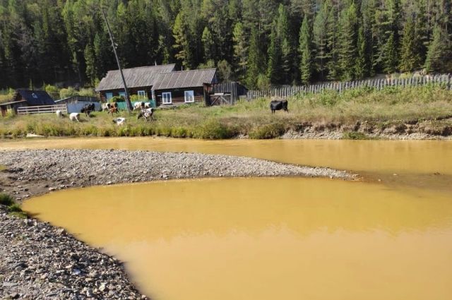 В реку Бузим под Красноярском попали жидкие бытовые отходы