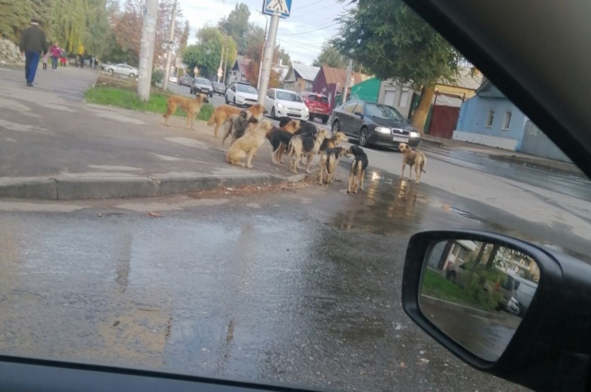 Почти горожанин