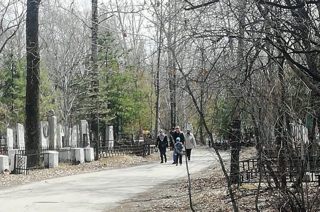 Школу на центральном кладбище Хабаровска не строят