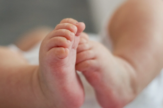 В Гатчине врачи спасли новорожденную с переломами ребер