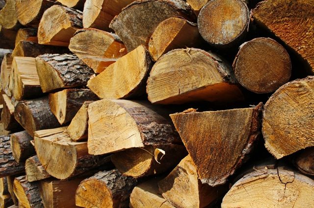 В Черняховске мужчину срубил деревья на сумму свыше миллиона рублей