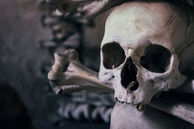 На Алтае рыбак нашел человеческие кости и череп