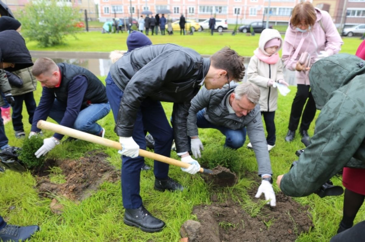 Сбербанк в Ярославле провел экологическую акцию по посадке деревьев