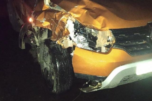 Водитель на Renault Duster насмерть сбил пешехода под Саратовом