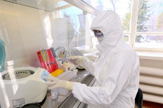 В Пермском крае за сутки выявили 461 случай коронавируса