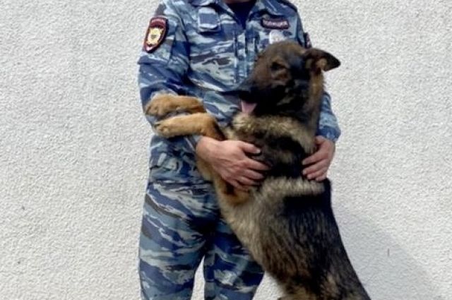 В Краснодарском крае служебная собака отыскала 10-летнюю девочку