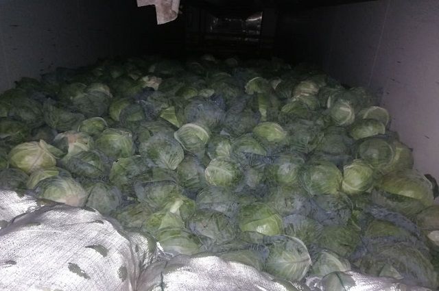 В Оренбуржье незаконно пытались завезти продукты из Казахстана