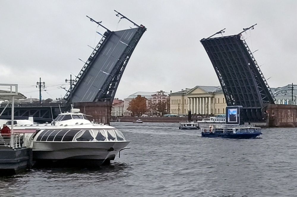 Кроме исторических яхт, мимо мостов по Неве шли огромные смартфоны, транслировавшие разного рода ролики. Они будут ходить так до вечера.