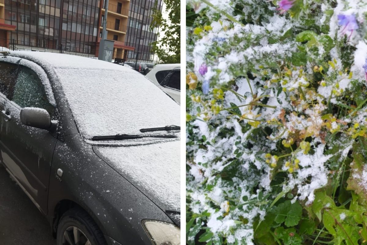 Выпал снег воскресенье. Первый снег в Новосибирске 2021. Новосибирск снег 26 сентября. Первый снег в Новосибирске. Снег выпал в сентябре.