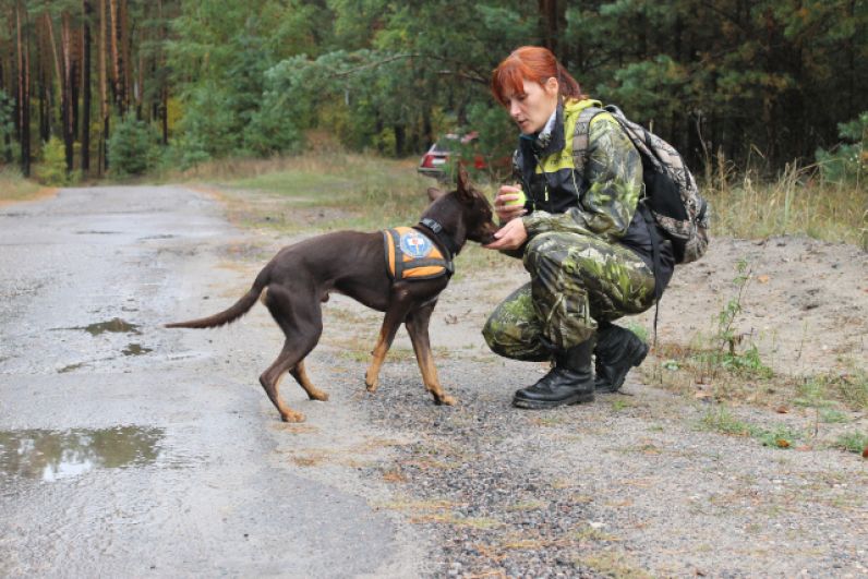 Инструктор-дрессировщик Анна Талалаева и ее собака Микки