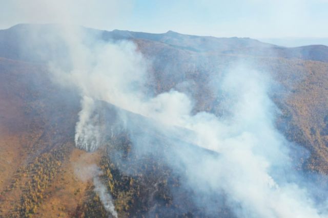 В Хабаровском крае третьи сутки горит лесной пожар
