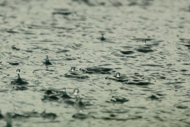 В Краснодарском крае спрогнозировали дожди с грозами