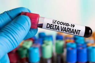 Кузин: в Украине доминирует Дельта-штамм серди новых случаев COVID-19.