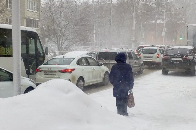 Тала Нещадимова рассказала, какой будет зима в Псковской области