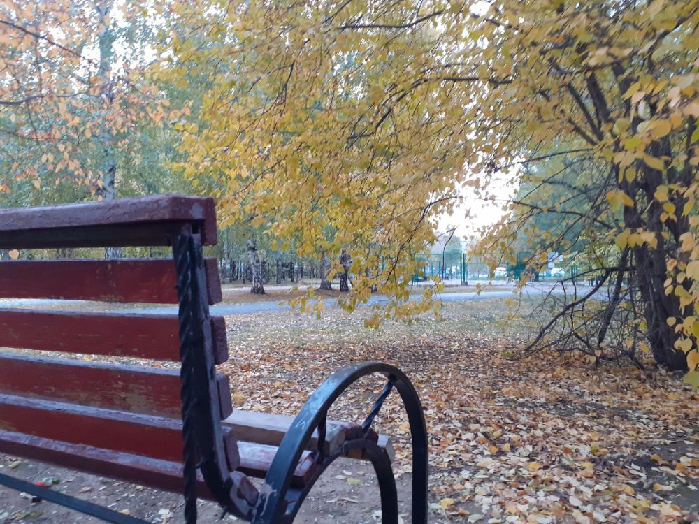 «Вприпрыжку осень побежала». Любимая Тюмень - 2021.