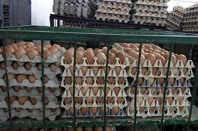 Партия куриных яиц за миллион долларов прибыла на Урал из Германии