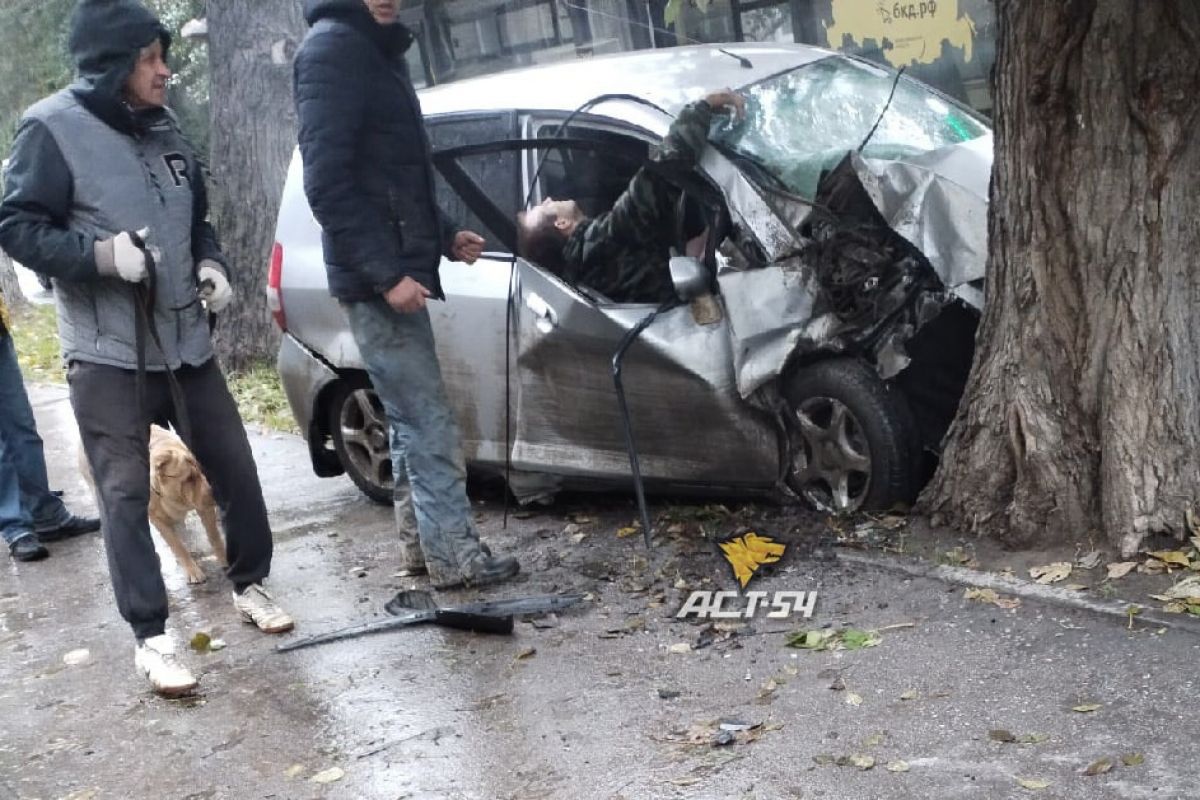 В Новосибирске водителя Honda Fit зажало в салоне после ДТП с деревом | АиФ  Новосибирск