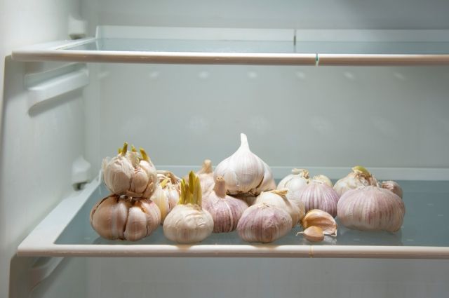 Можно ли хранить чеснок в холодильнике? | Продукты и напитки | Кухня |  Аргументы и Факты