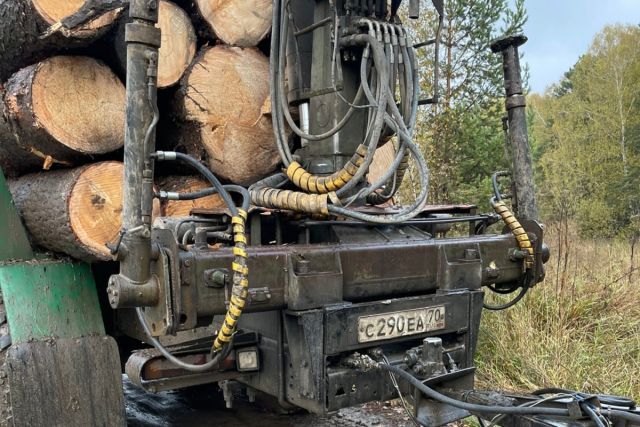 Жители пожаловались на массовую вырубку деревьев под Новосибирском
