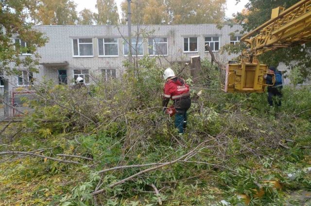 Возле детских садов Ульяновска сносят аварийные деревья