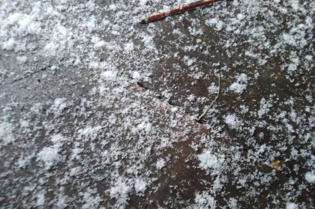 В Омской области выпал первый снег