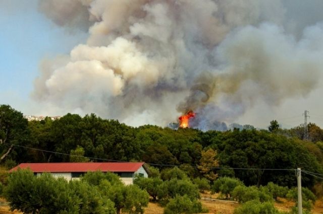 В Хабаровском крае возросла угроза пожаров
