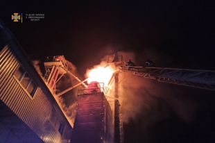 В Хмельницкой области произошел пожар в зерносушилке: сгорело 12 тонн зерна