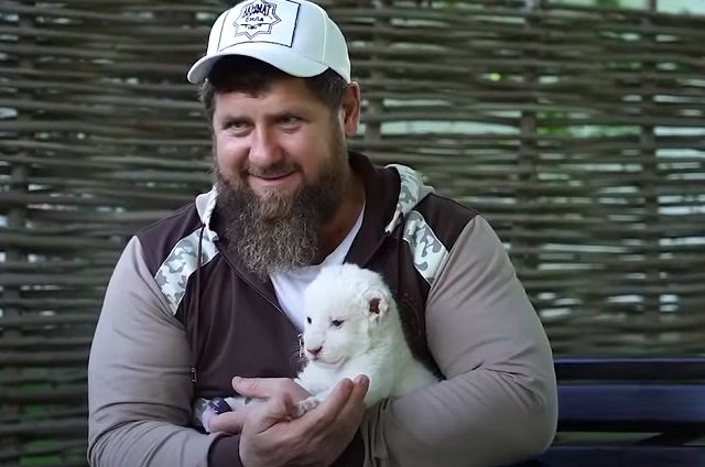 Глава Чечни явно любит кошек - и домашних, и диких.