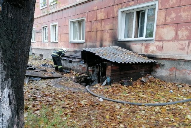 Два кота погибли при задымлении дома в Первомайском районе Новосибирска