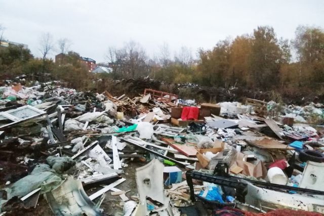 Жители Новосибирска обнаружили огромную свалку возле Соснового бора