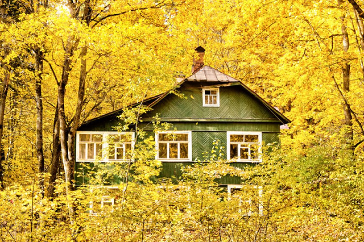 Дача в ноябре. Дача. Осень. Осенью на даче. Дачный дом осень. Осень на даче Подмосковье.