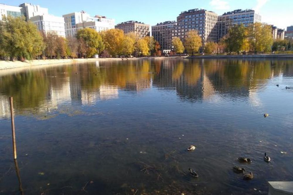 Солдатское озеро в парке Якутова.
