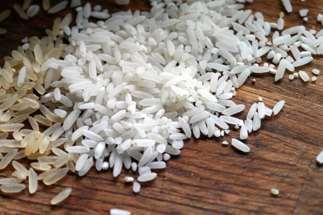 На Кубани потери рисовых чеков от подтоплений не скажутся на общем урожае