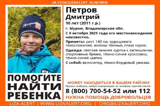Во Владимирской области пропавший 10-летний Дмитрий Петров найден живым