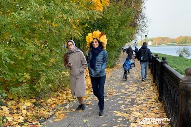До 15 градусов тепла ожидается в Псковской области 10 октября