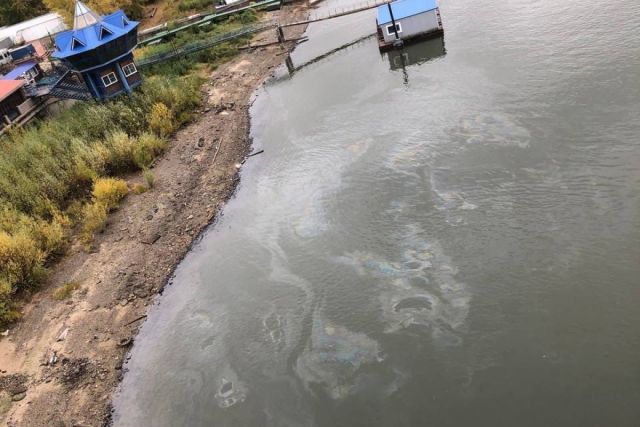 Берег реки Обь в Новосибирске очистили от нефтепродуктов