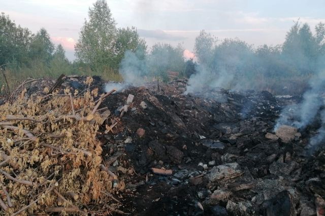 Во Владимирской области выявили 46 незаконных свалок на плодородных землях
