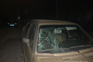 В Житомирской области пьяный водитель насмерть сбил подростка