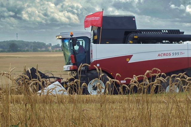 За год во Владимирской области урожай зерна сократился на 78 тысяч тонн