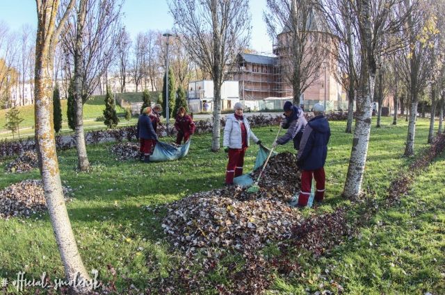 В Смоленске занимаются осенней уборкой