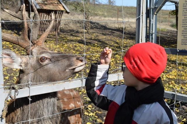 Участники социальной акции Каскада Кубанских ГЭС посетили оленью ферму