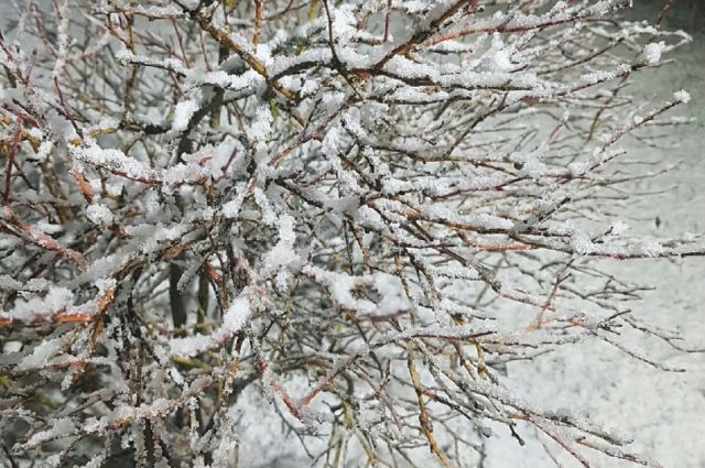 Во Владимирской области 26 октября выпадет первый снег