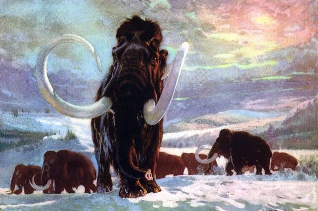 Где бродили мамонты? Кости древних животных находят в Челябинской области