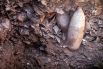 Кувшины, найденные при раскопках