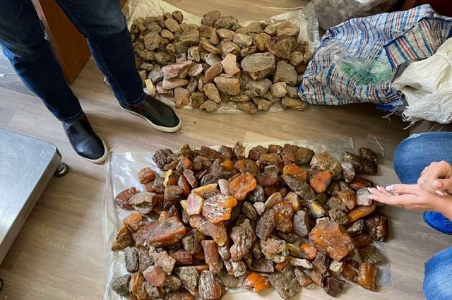 У калининградки нашли 31 кг незаконно добытого янтаря